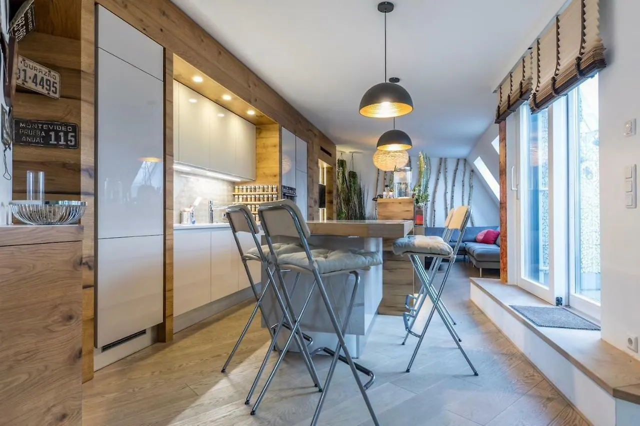 Exclusive Penthouse Vienna Apartment