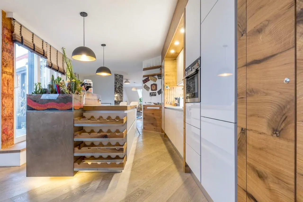 Exclusive Penthouse Vienna Apartment