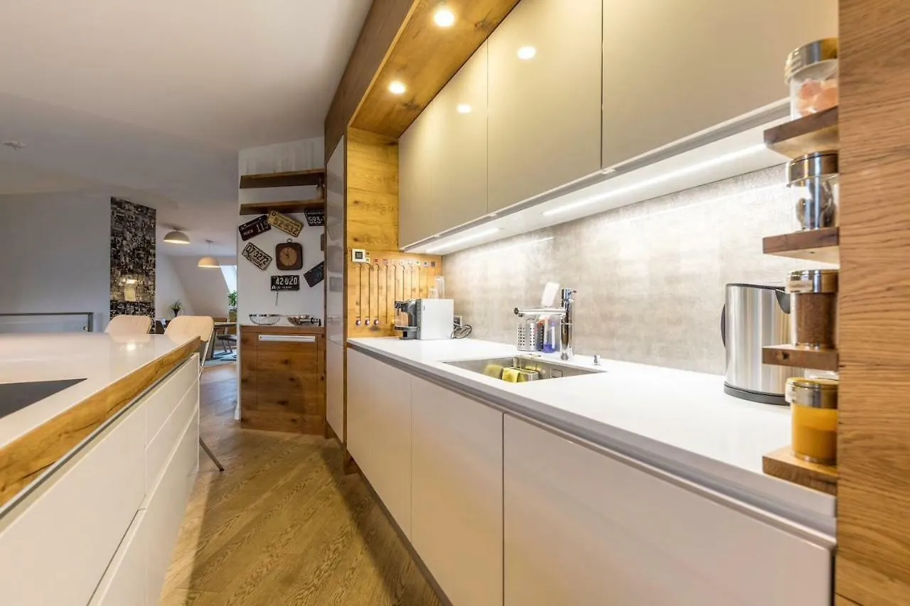 Exclusive Penthouse Vienna Apartment 0*,